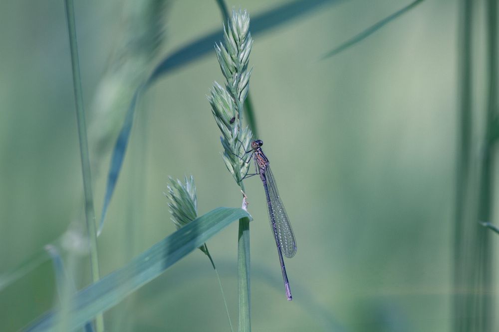 Photograph by ЕЛЕНА Рохо-Фернандес