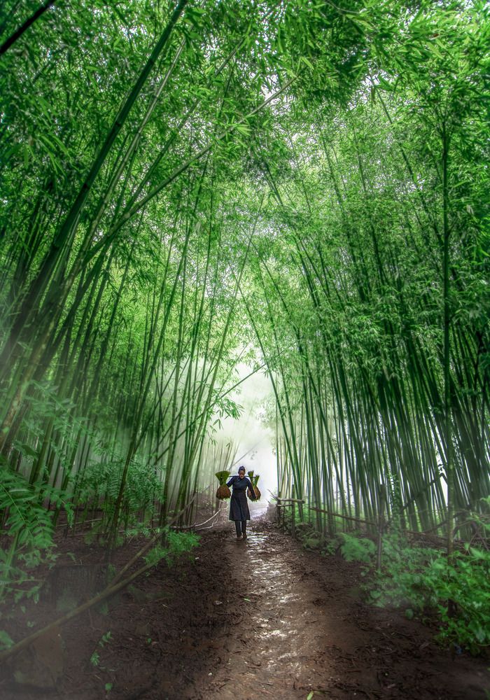 Photograph by Dao Hoang