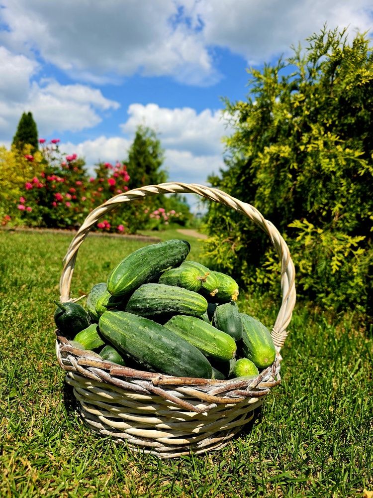 Photograph by Олеся Безлепкина