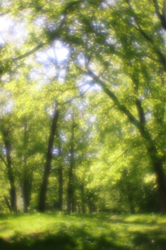 Photograph by Мария Пичугина