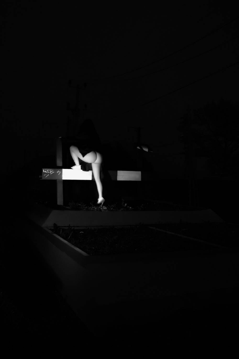 Photo #13593264
