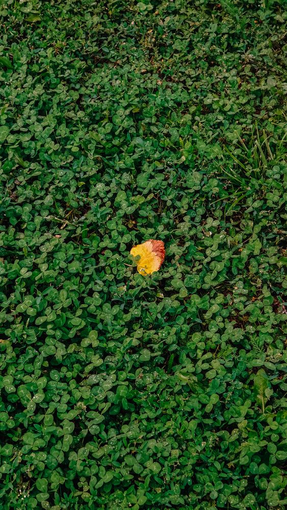 Photograph by Ирина Львова