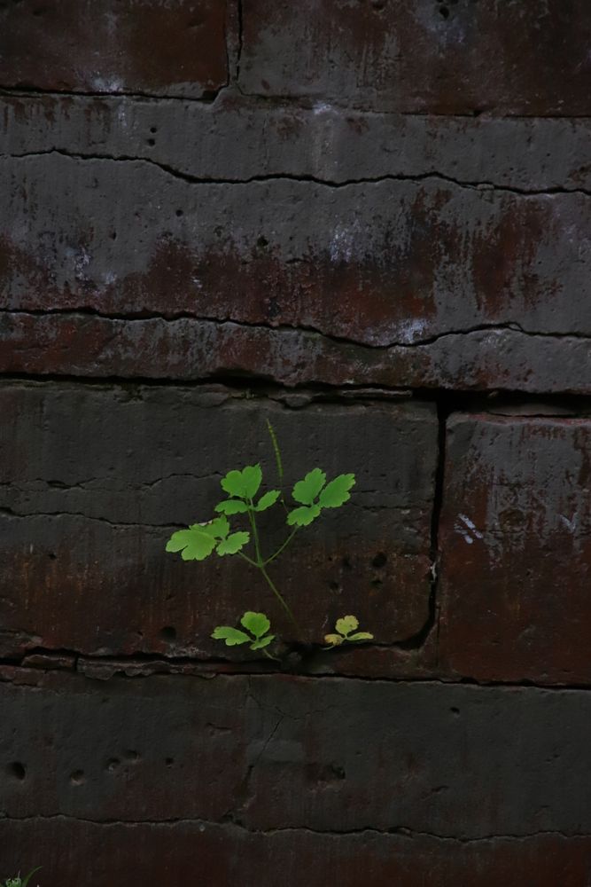 Photograph by Мария Пичугина