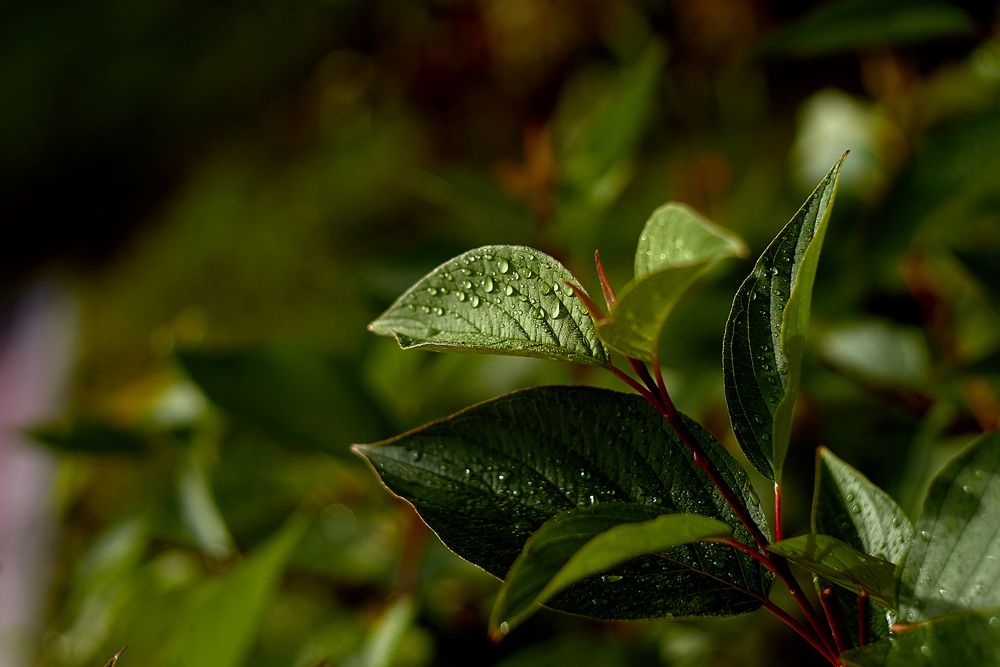 Photograph by Владислав Левашов