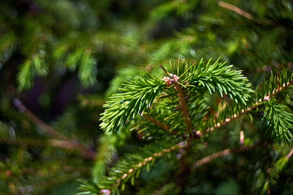 Photograph by Владислав Левашов