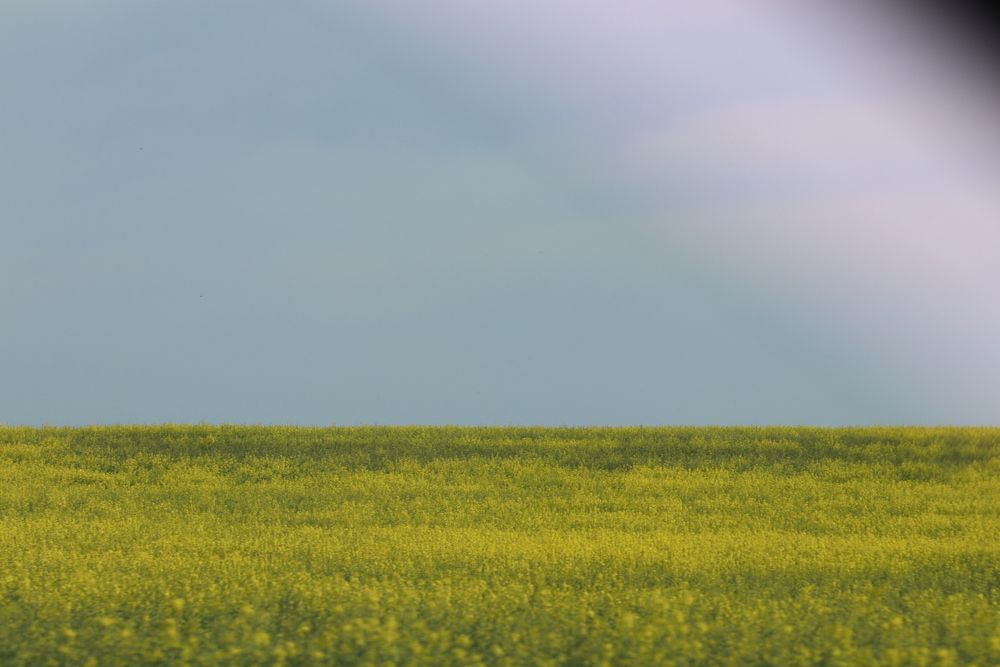 Photograph by Евгения Нестеренко