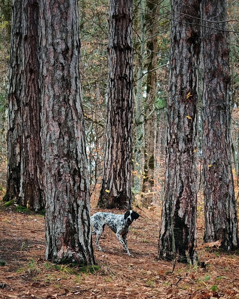 Photograph by Сергей Кошин