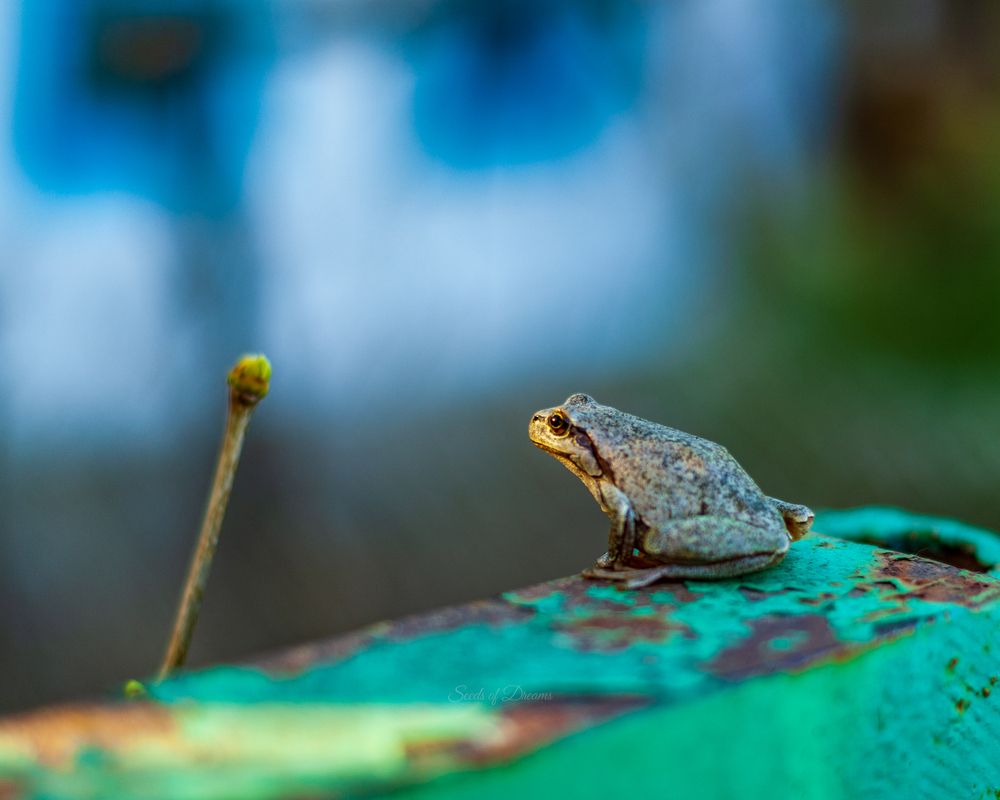Photograph by Aндрей Иванов