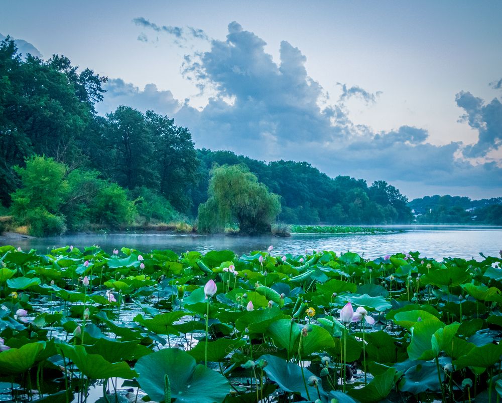 Photograph by Aндрей Иванов
