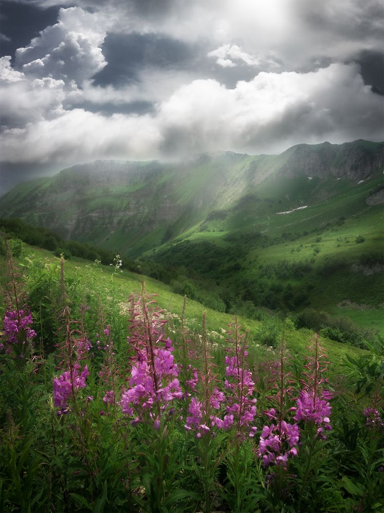 Photograph by Ivan Glinskiy