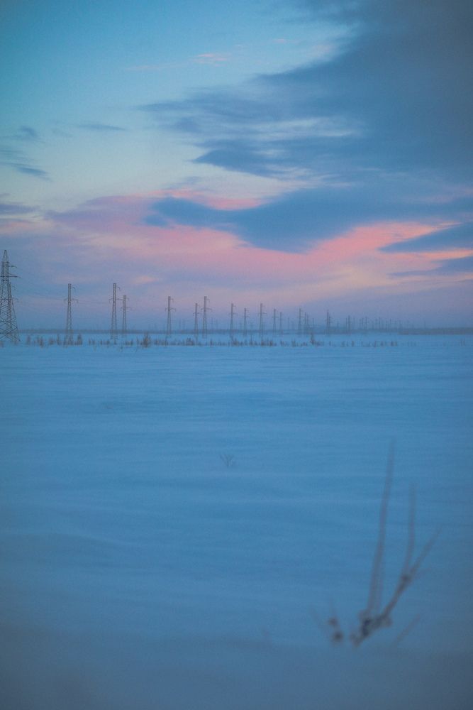 Фотография автора Дмитрий Шевченко