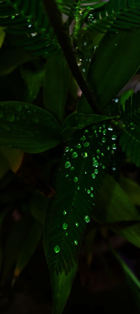 Photograph by Durgeshwari Wagh