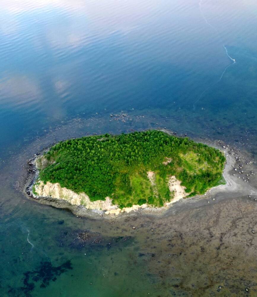 Photograph by Лариса Ким