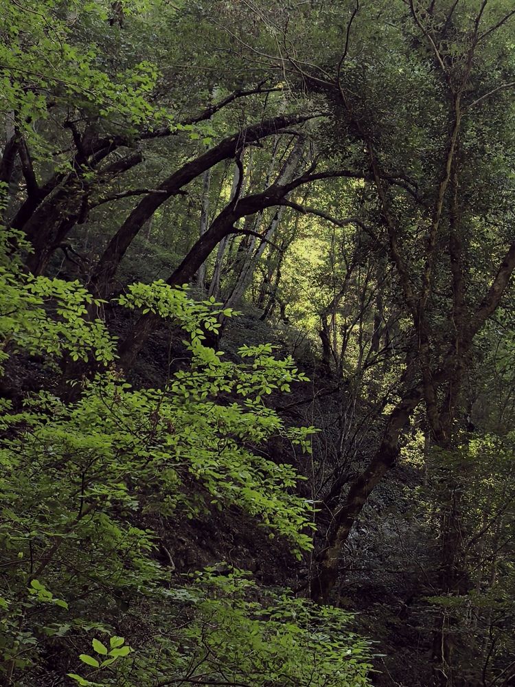Photograph by Оксана Абакумова