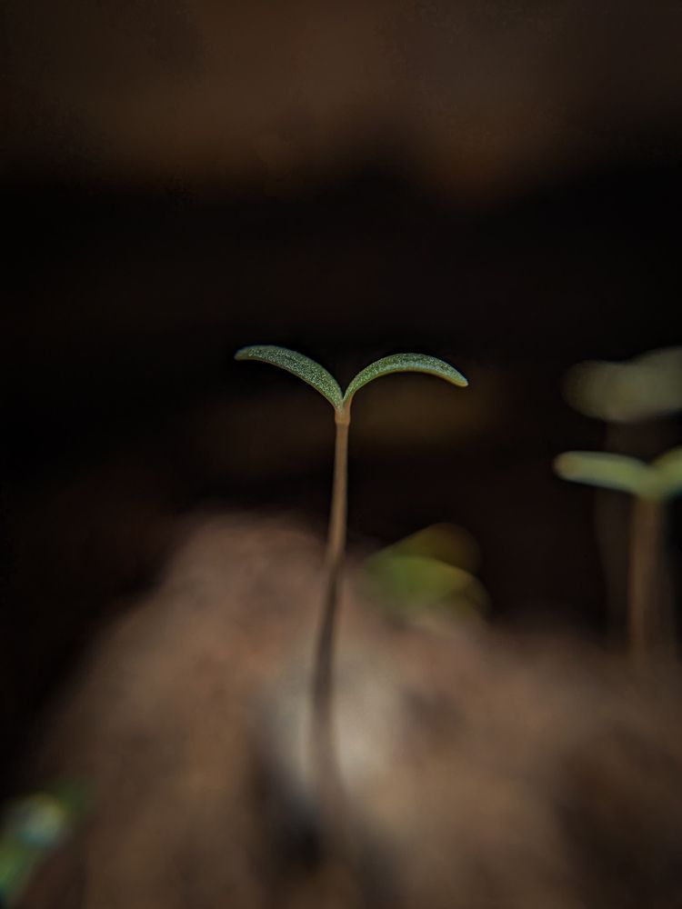 Photograph by Vijayakumar