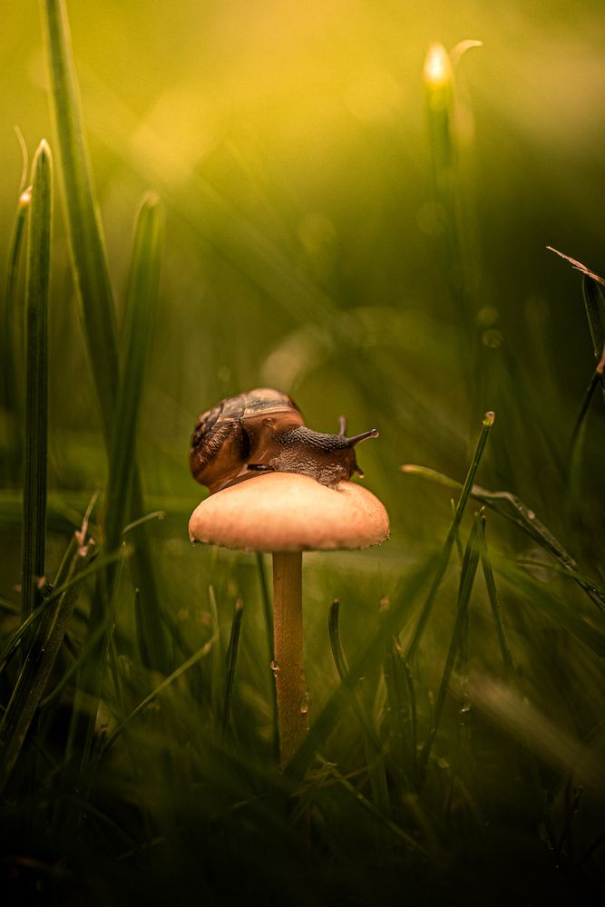 Photograph by Белокуров Сергей