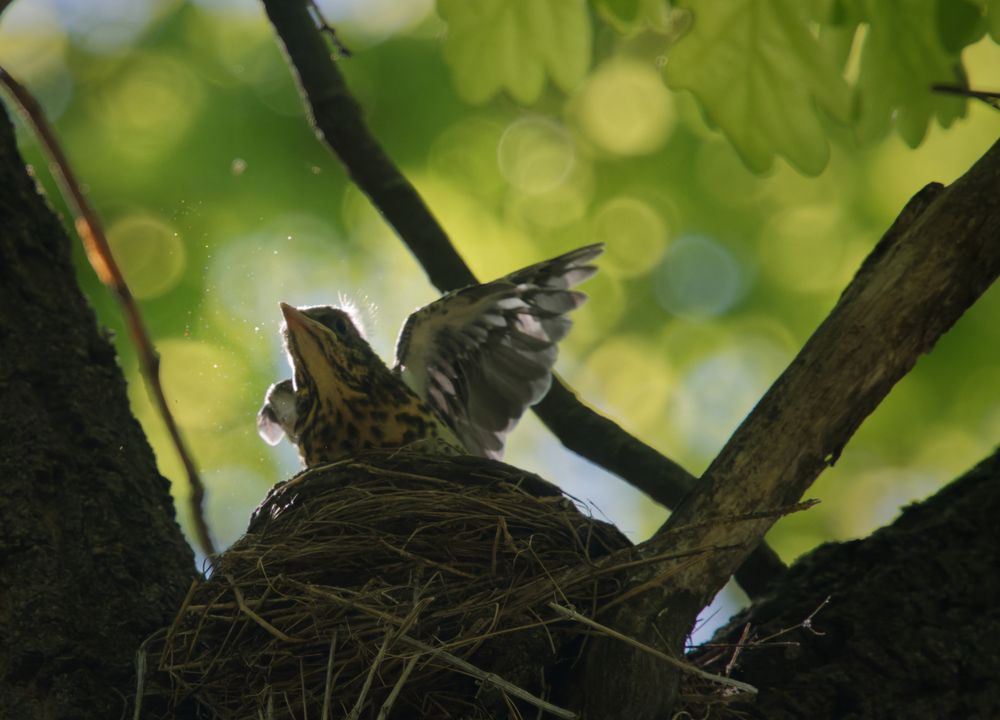 Photograph by Алексей Волжский