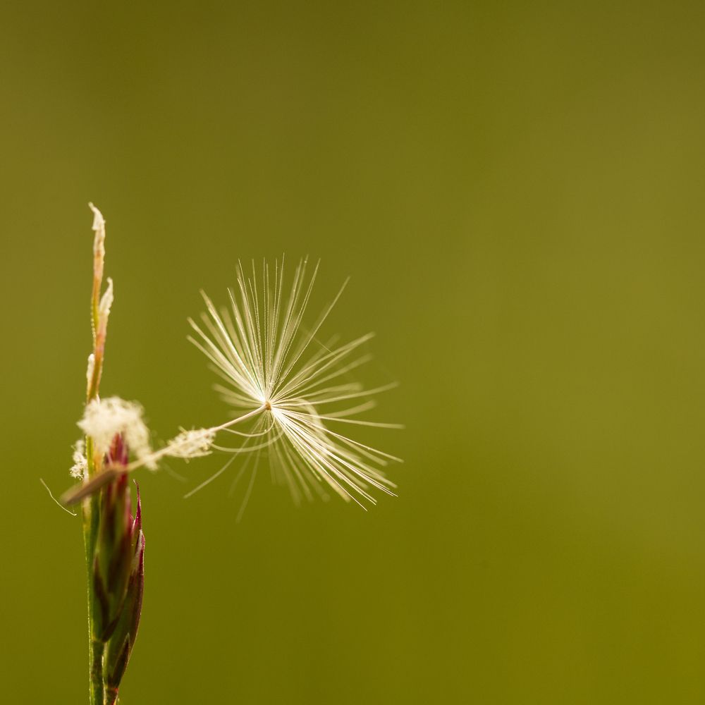Photograph by Miriam Bennouna