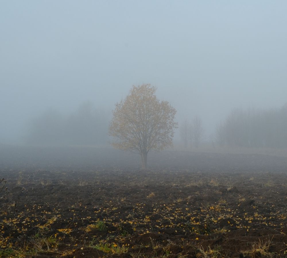 Photograph by Денис Ахметсафин