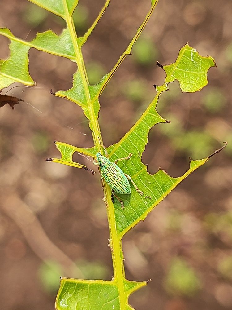Photograph by Анфиса Васильченко