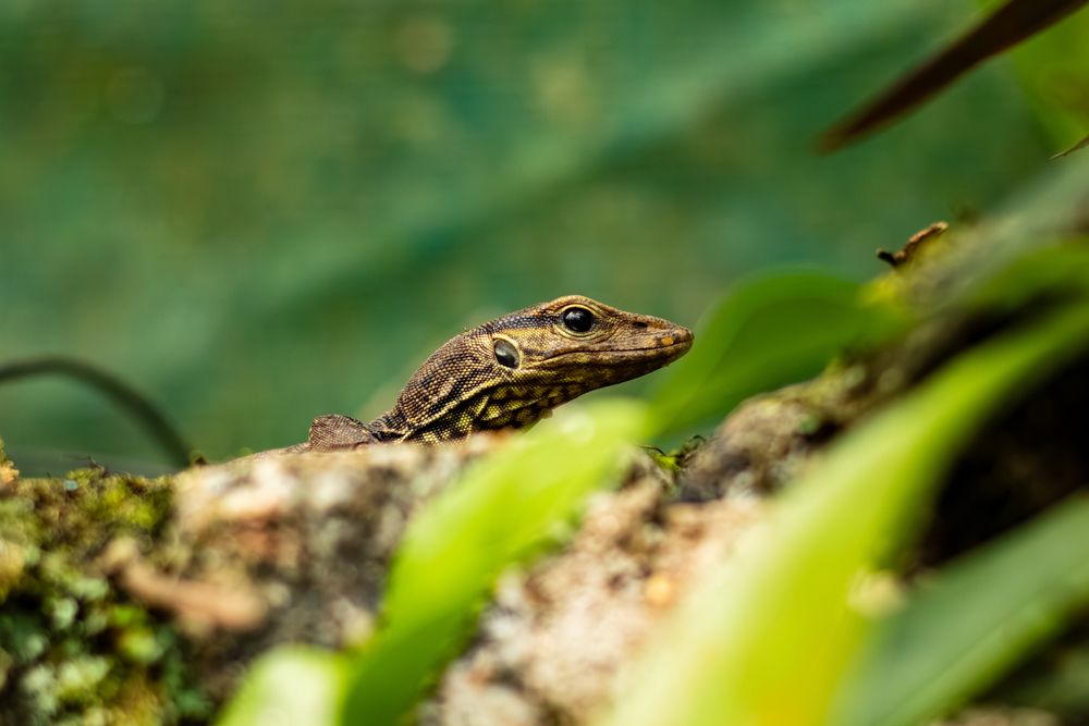 Photograph by Софья Гелевера