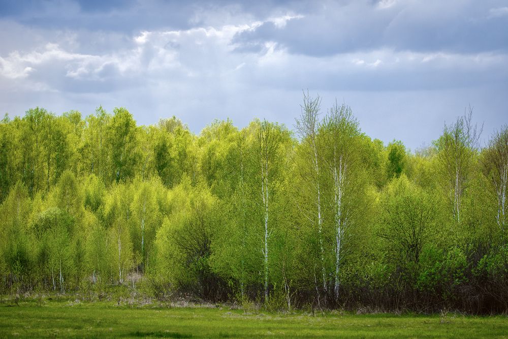 Photograph by Бодрягин Виталий