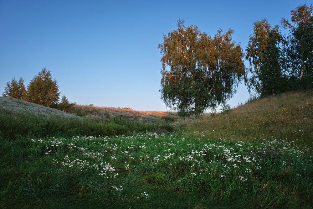 Photograph by Бодрягин Виталий