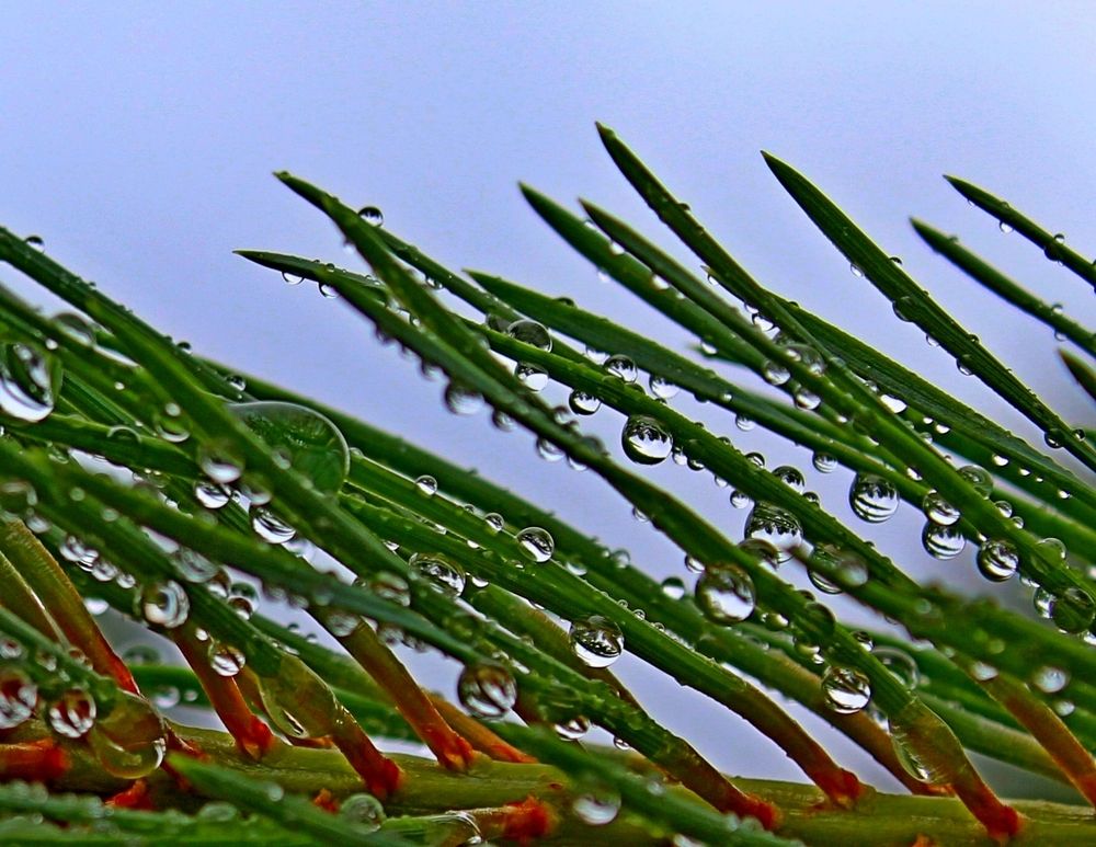 Photograph by Юлия Иванова