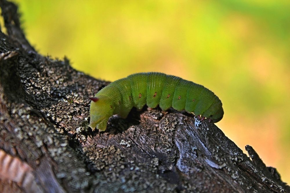Photograph by Юлия Иванова