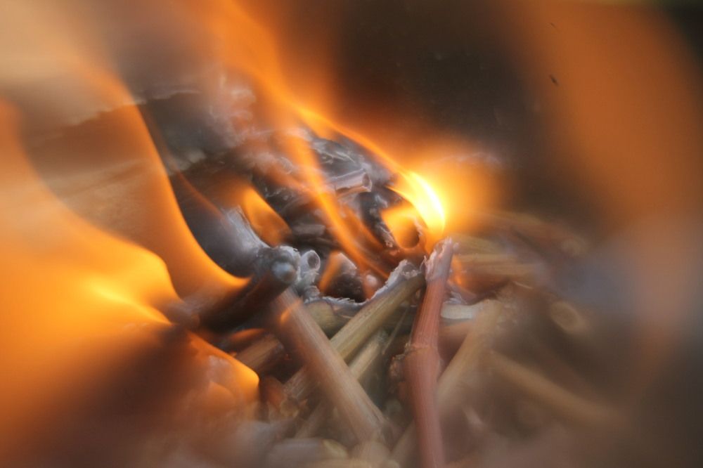 Photograph by Дмитрий Рыбалко