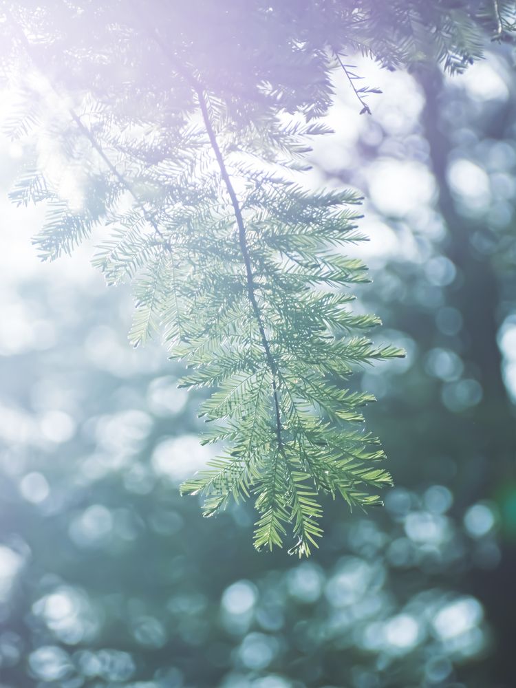 Photograph by KOSHI MASAKI