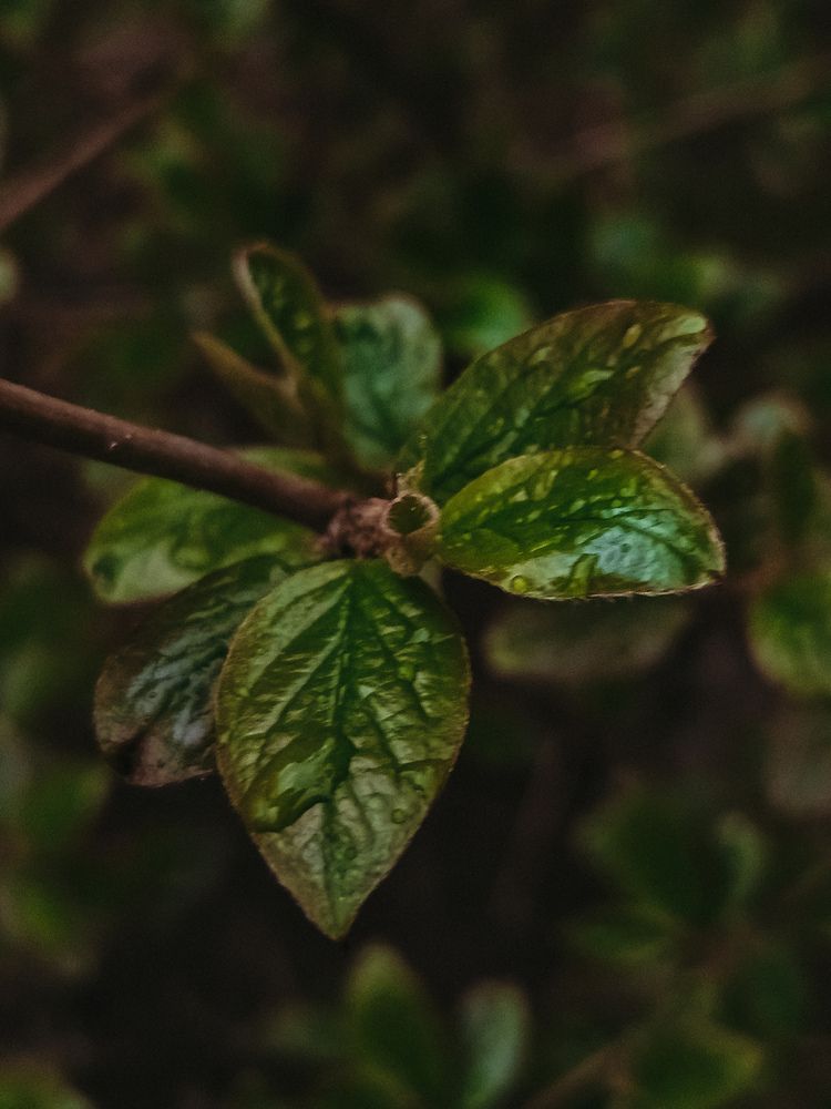 Photograph by Наталья Тополевская