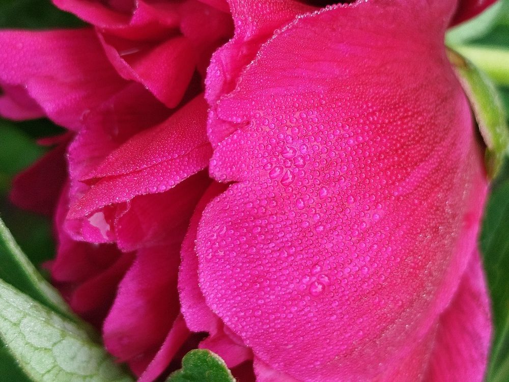 Photograph by Наталья Назаренко