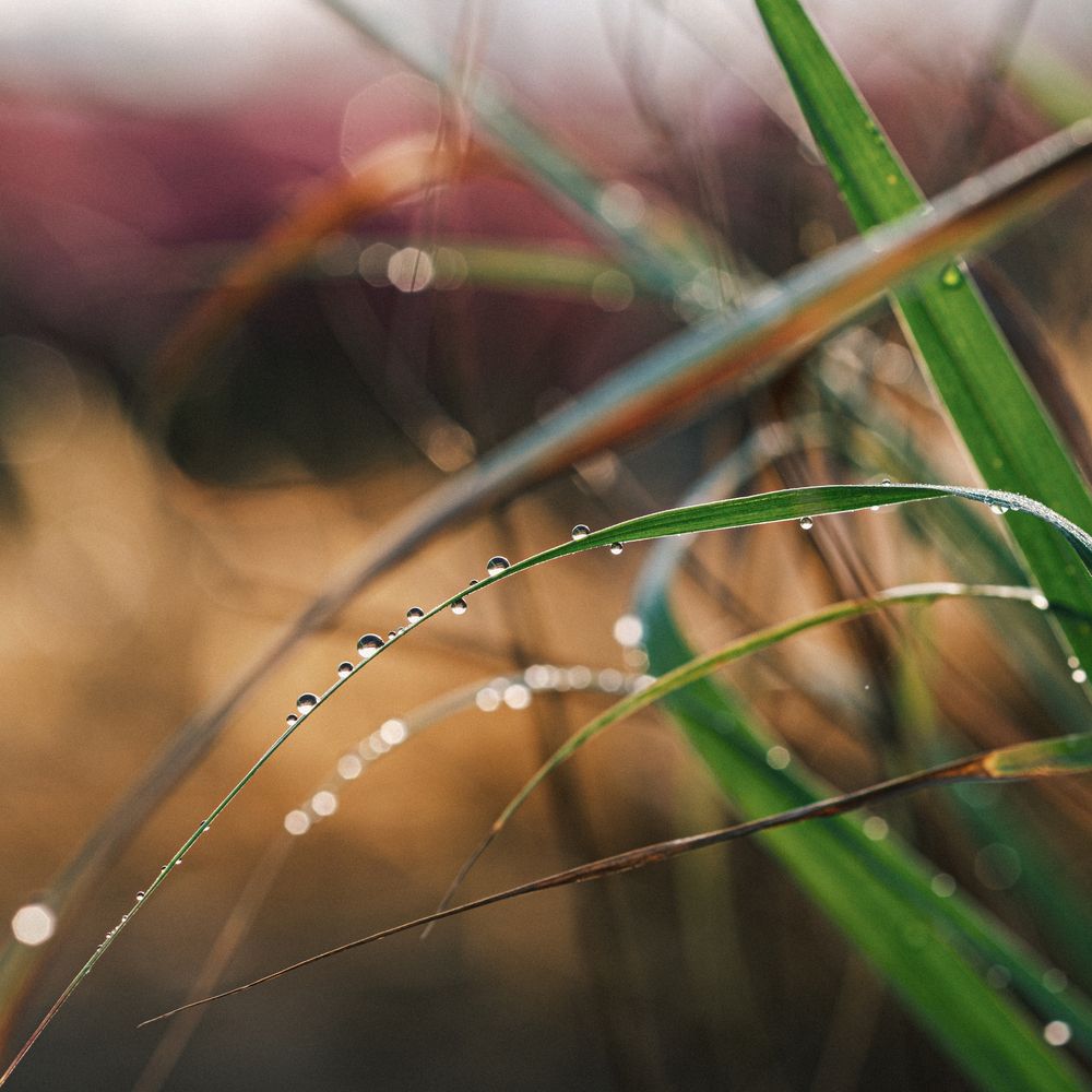 Photograph by Mian Chau