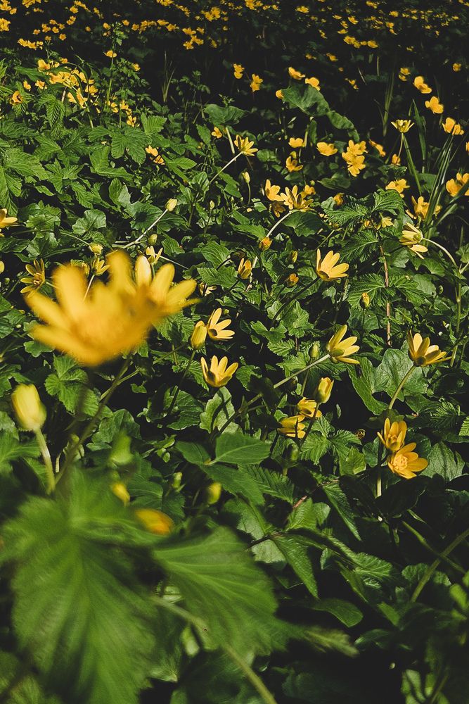 Photograph by Наталья Тополевская