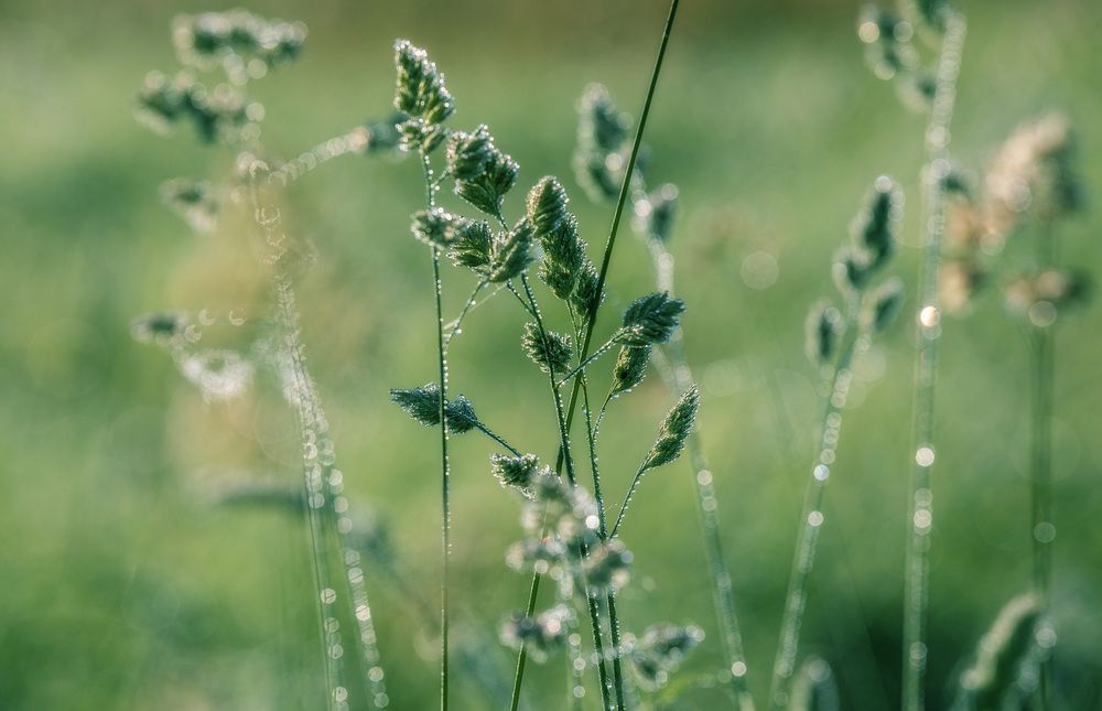 Photograph by Олег Чернышев