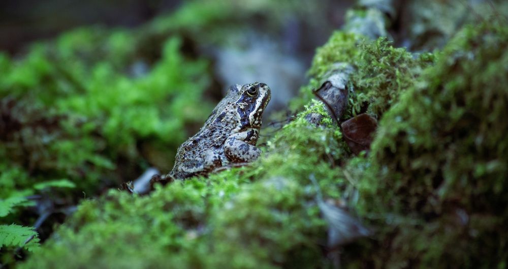 Photograph by Олег Чернышев