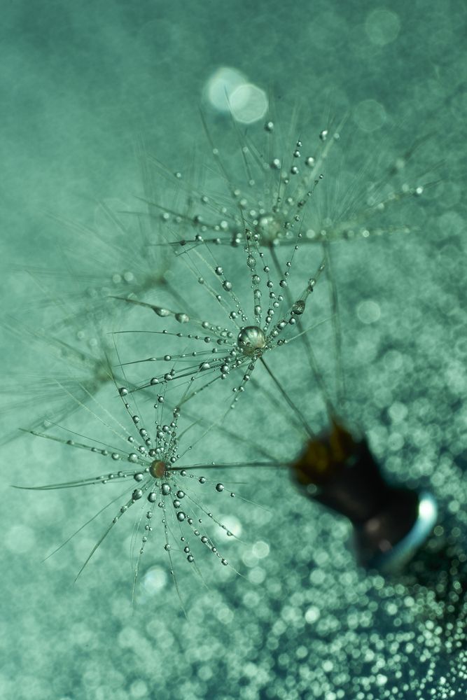 Photograph by John Doe