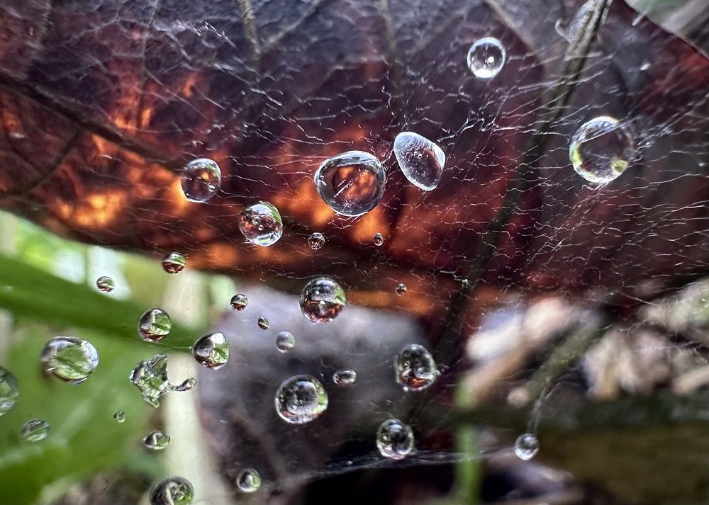 Photograph by Полина Николаева