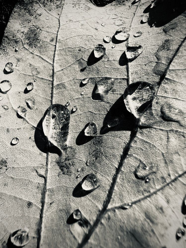 Photograph by Полина Николаева