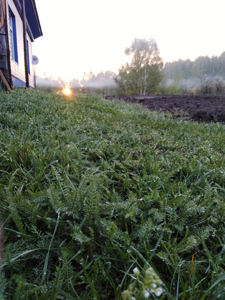 Photograph by Воронова Светлана