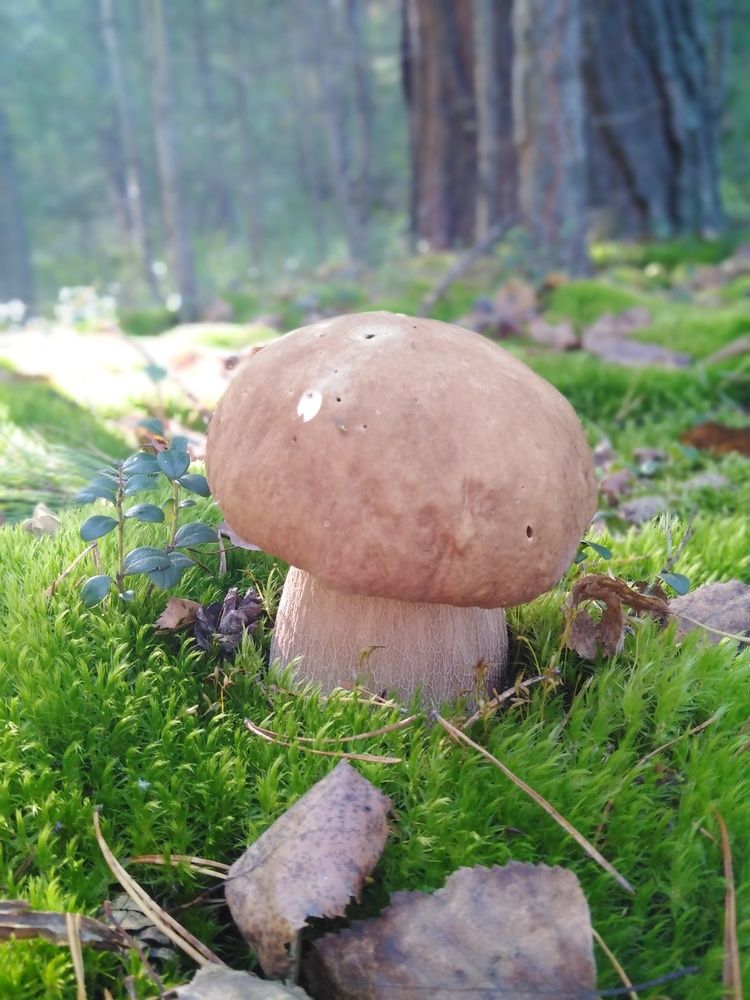 Photograph by Воронова Светлана