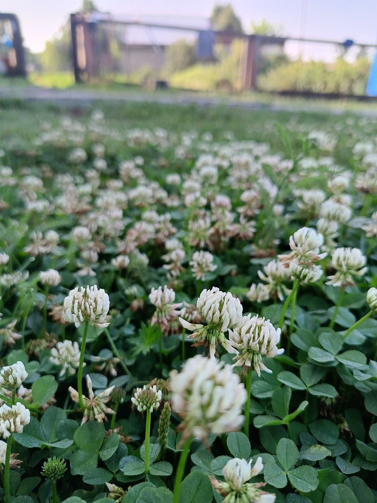 Photograph by Воронова Светлана
