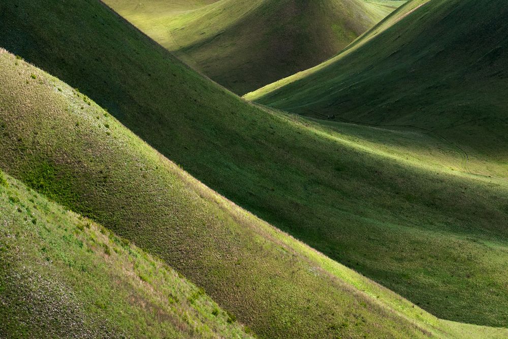Photograph by Ольга Крицак