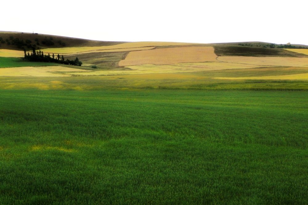 Photograph by fuat cimok