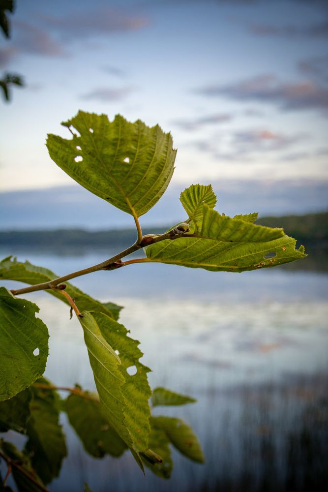 Photograph by Глеб Обуховский