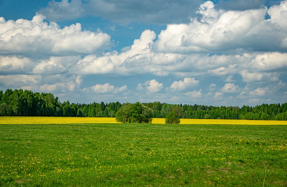 Photograph by Николай Нестеренко