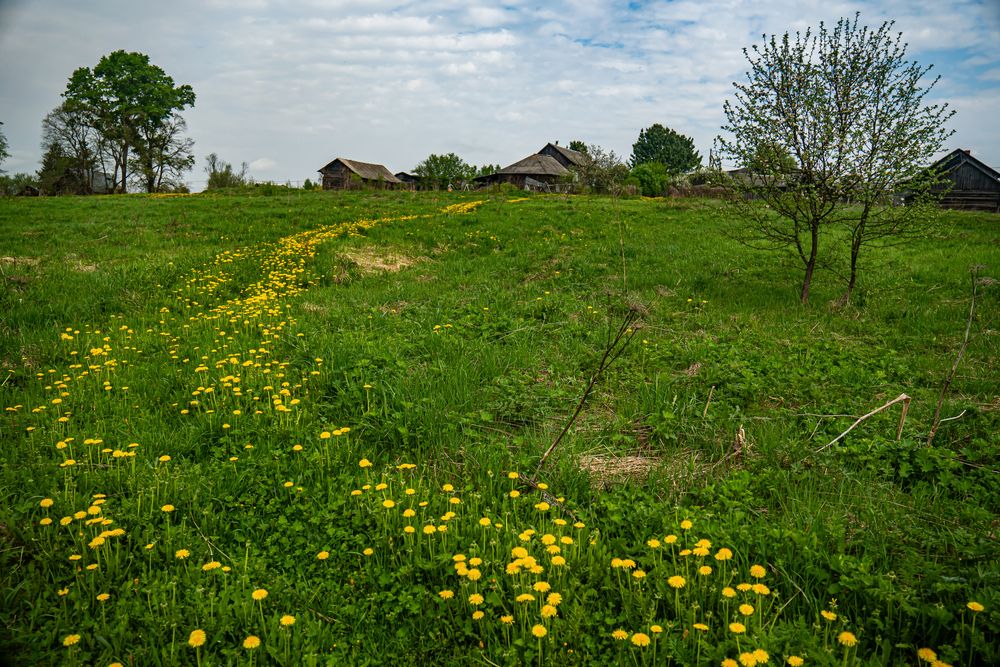Photograph by Николай Нестеренко