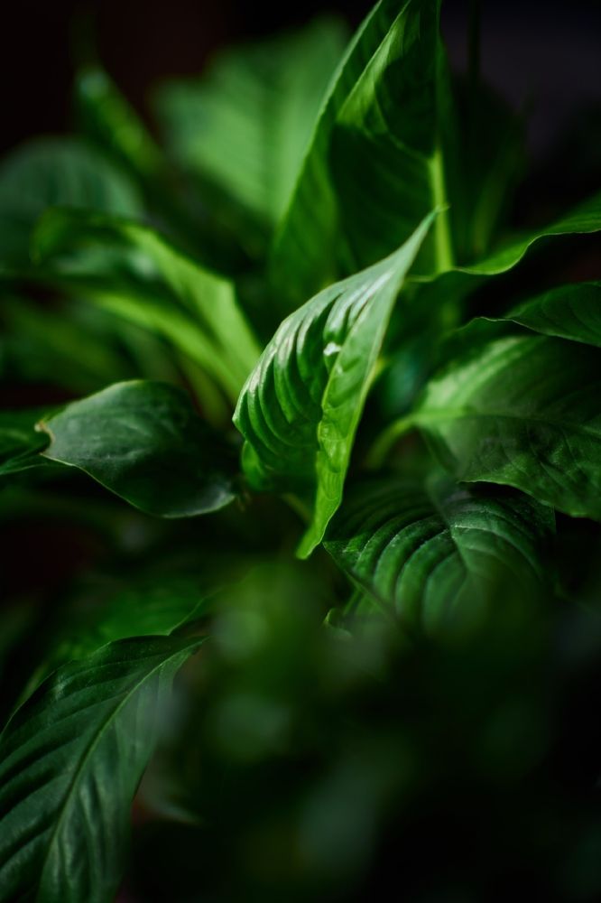 Photograph by Денис Смирнов