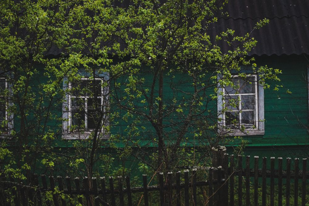 Photograph by Надежда Мануилова